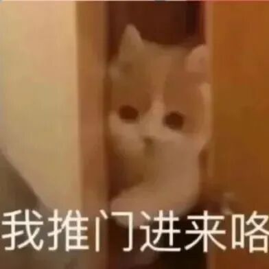 74e279ff6eb0c9bb6c5ad5bb5d452dd2.jpg 74e279ff6eb0c9bb6c5ad5bb5d452dd2.jpg