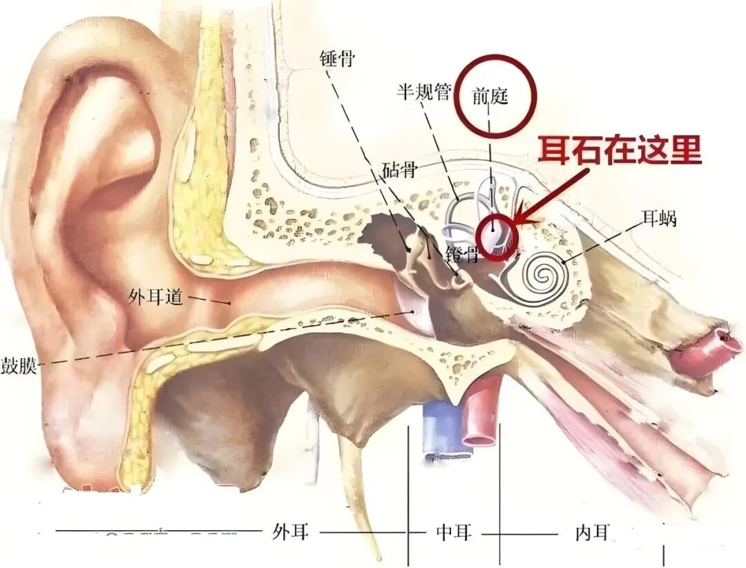 74e4f20609f30cef718a032514f905c3.jpg 74e4f20609f30cef718a032514f905c3.jpg