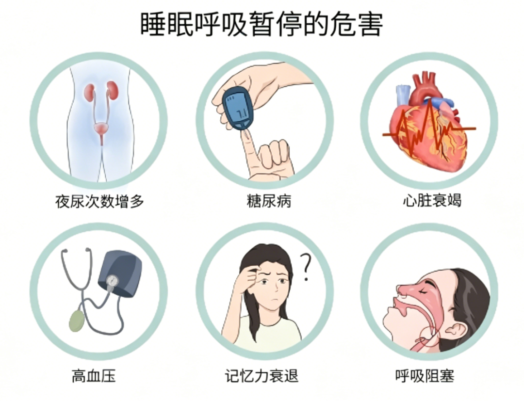 5.6打呼噜.png 5.6打呼噜.png