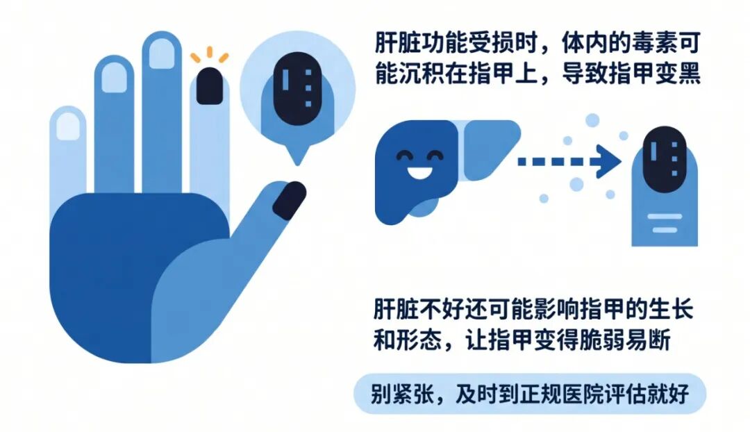 蓝色医学科普插图_扁平色块设计_4 3横版.jpg 蓝色医学科普插图_扁平色块设计_4 3横版.jpg
