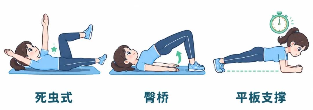 横版科普示意图_死虫式臀桥平板支撑_清新卡通白底.jpg 横版科普示意图_死虫式臀桥平板支撑_清新卡通白底.jpg